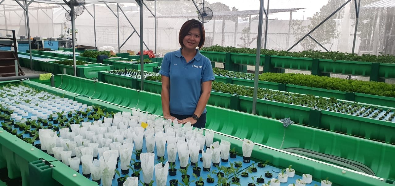 An Aquaville team member in the greenhouse